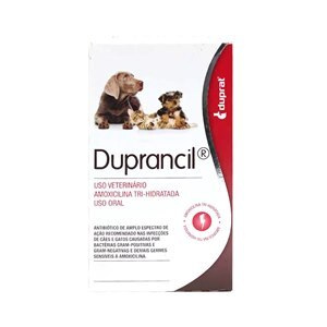 Antibiótico Duprancil Duprat Uso Oral Pó 40G